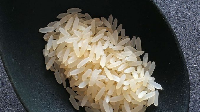 כף אורז